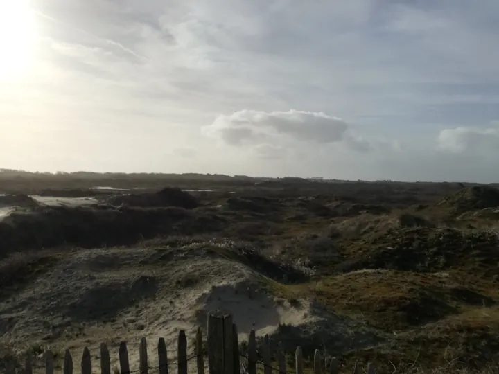 De Panne (België)